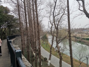 荆州的古城护城河
