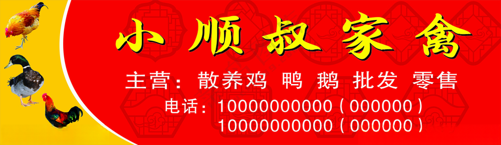 家禽鸡鸭鲜海报动物CDR