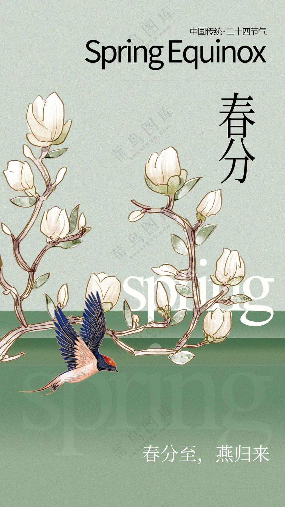 春分节气传统活动海报