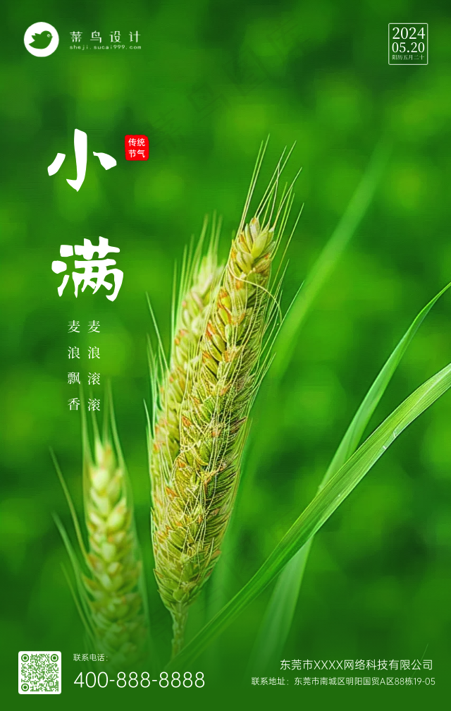 小满手机海报