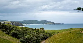 海韵崖路绿翠图：清新蓝绿自然珍藏