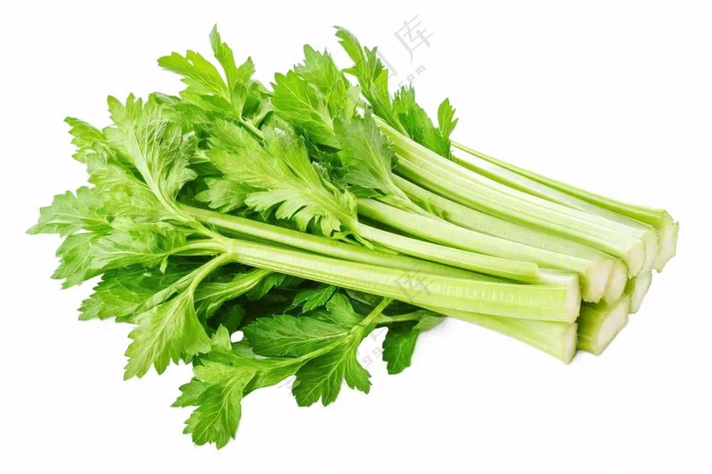 芹菜蔬菜免抠