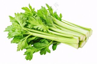 芹菜蔬菜免抠