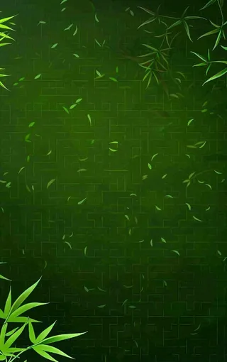 端午佳节竹子插画中国风绿色清雅静背景