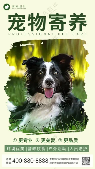 萌宠宠物寄养活动钜惠手机海报
