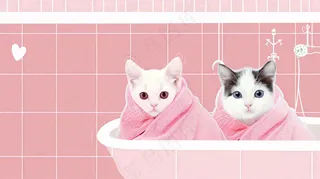 宠物常识宠物攻略猫狗卡通插画背景