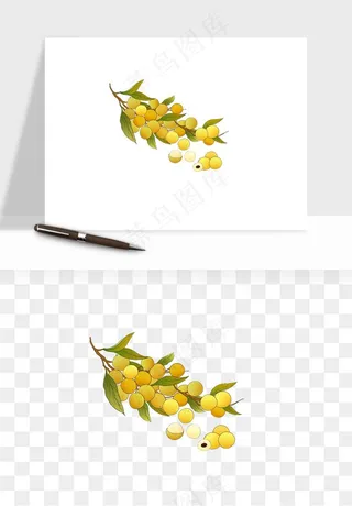 龙眼桂圆水果png免抠