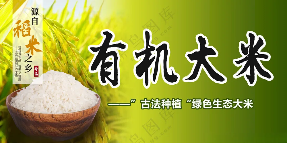大米大米海报大米人物