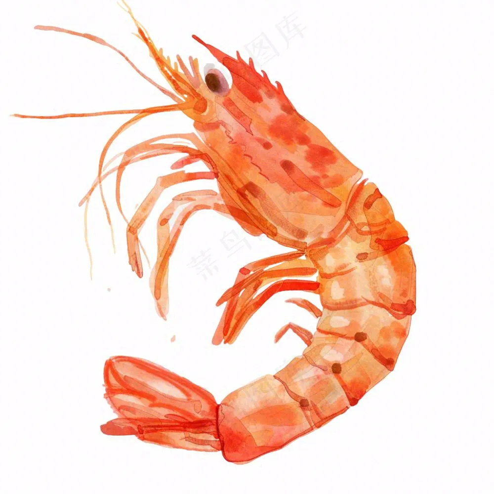 虾基围虾食物海洋卡通插画免抠
