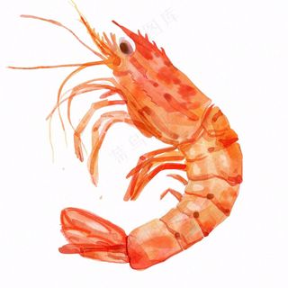 虾基围虾食物海洋卡通插画免抠