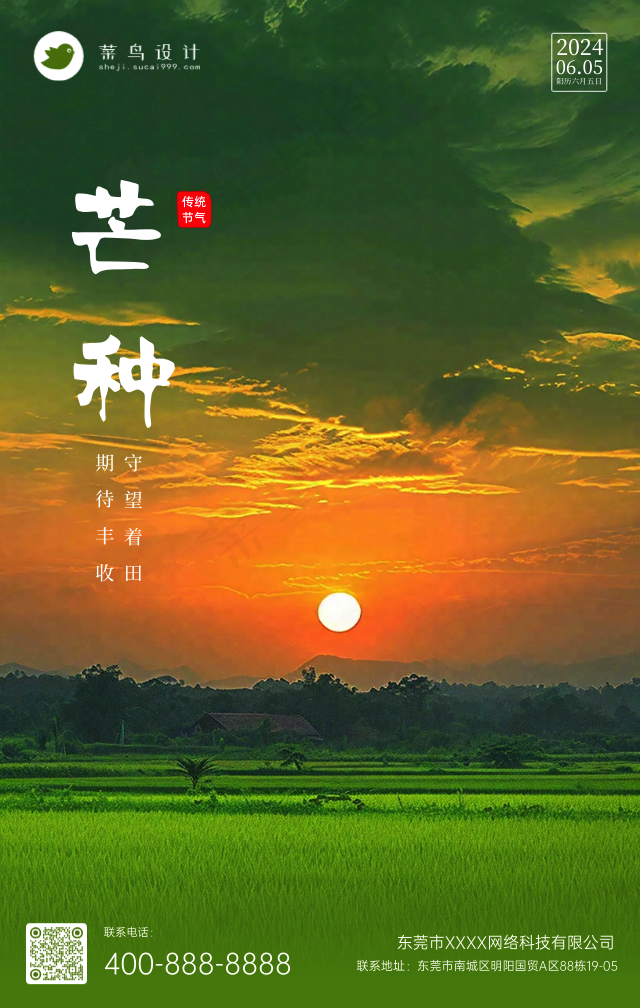 芒种手机海报
