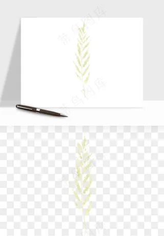 清新手绘植物png免抠