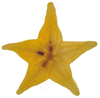 蔬菜切面图片 (6)