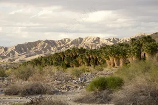 荒漠绿洲：暖色调的自然风光摄影