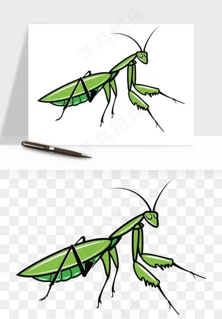 螳螂png免抠