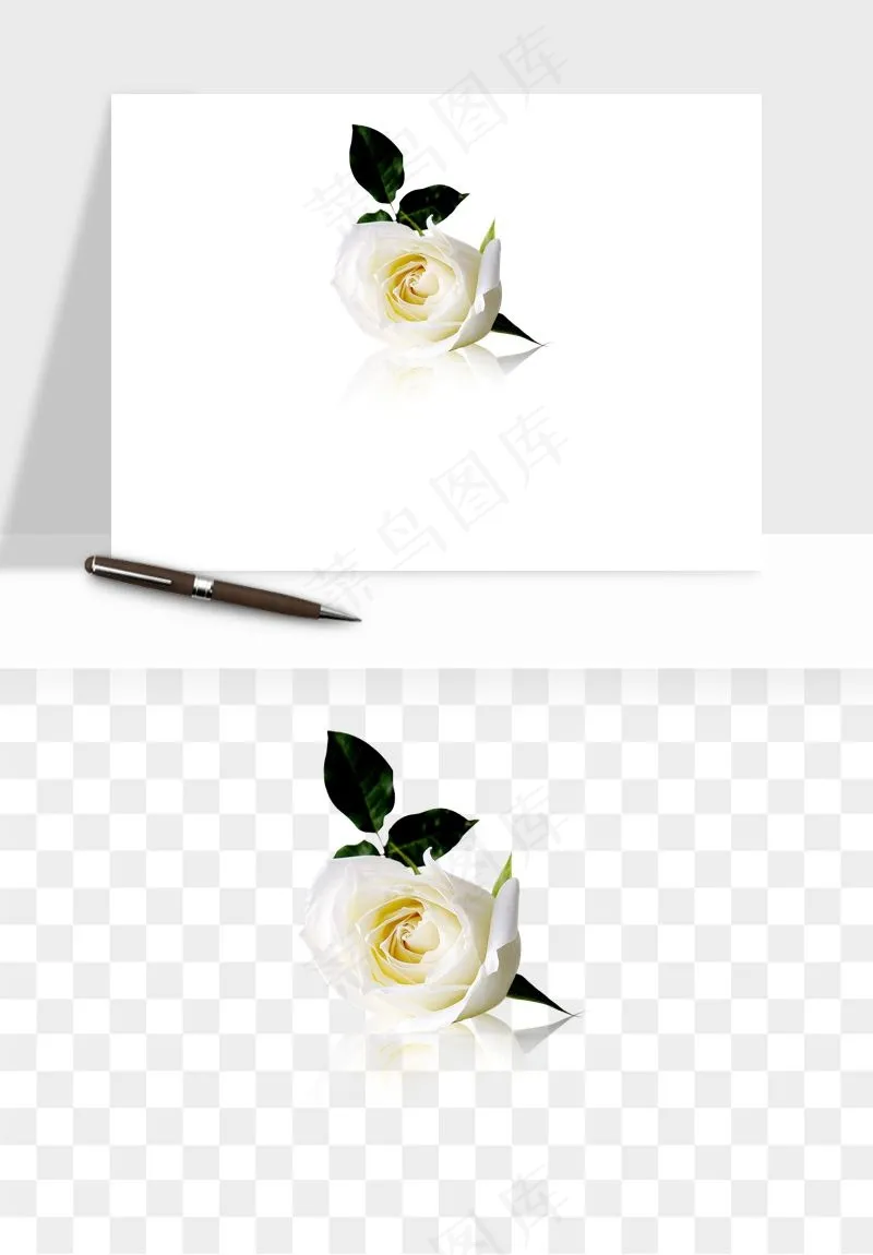 白玫瑰花枝花束png免抠
