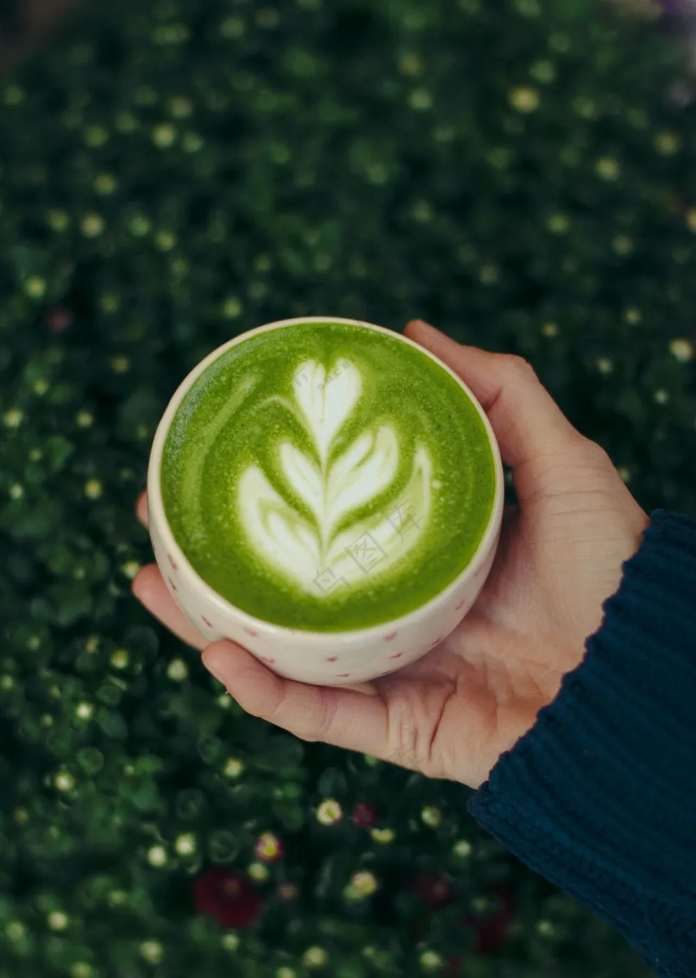 抹茶拿铁图片