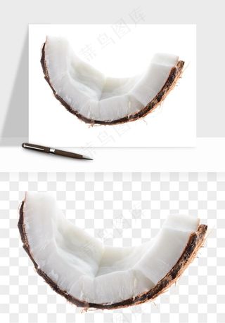 椰子椰果水果png免抠