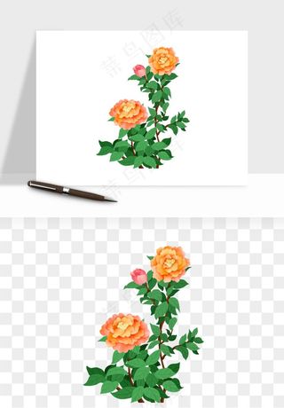 手绘国潮牡丹花花卉图案png免抠