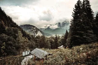 秋日乡间小径的金黄画卷》