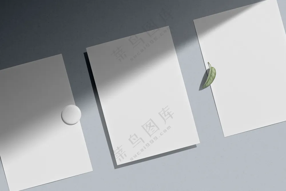 传单海报徽章样机办公文具企业vi提案样机-6