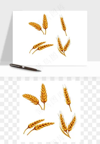 手绘麦穗稻穗麦秆矢量png免抠