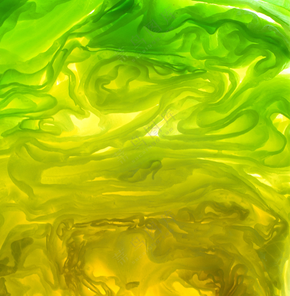 蔬菜切面图片 (23)