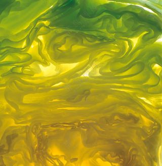 蔬菜切面图片 (23)