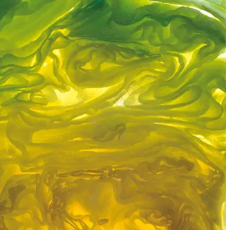 蔬菜切面图片 (23)