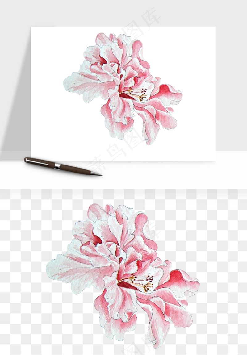 水彩复古花卉png免抠