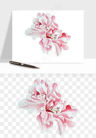 水彩复古花卉png免抠