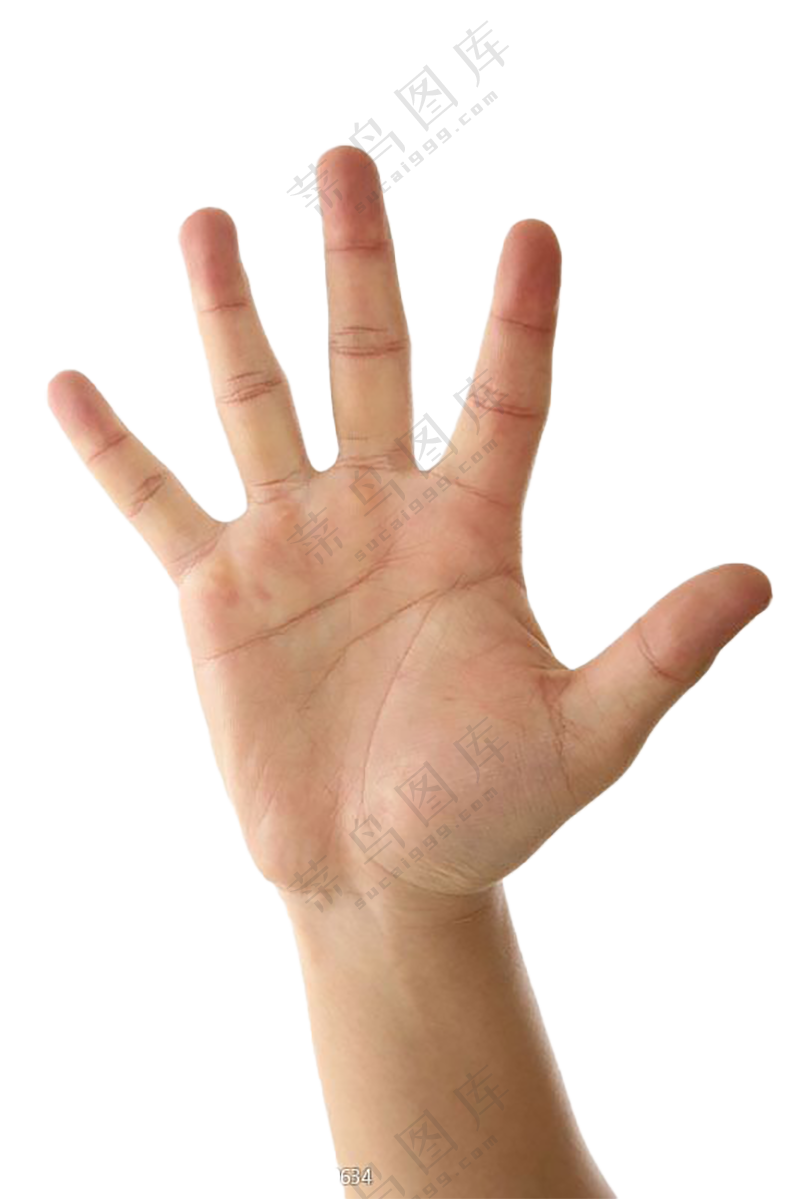 手免扣图片