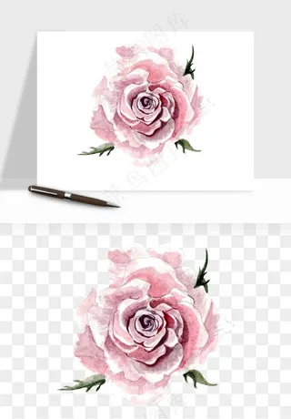 水彩复古花卉png免抠