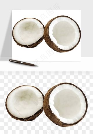 椰子椰果水果png免抠