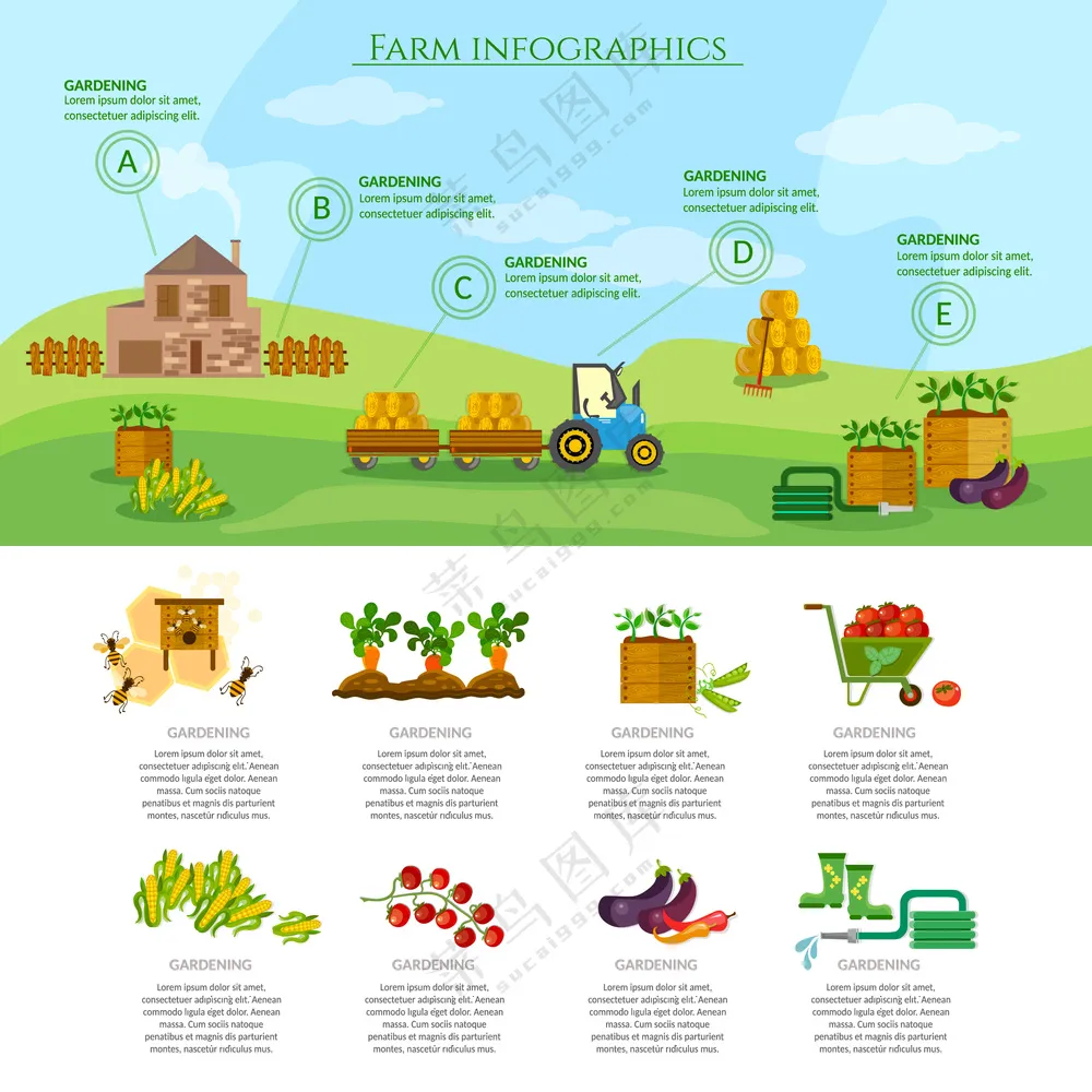 农场丰收插画图片