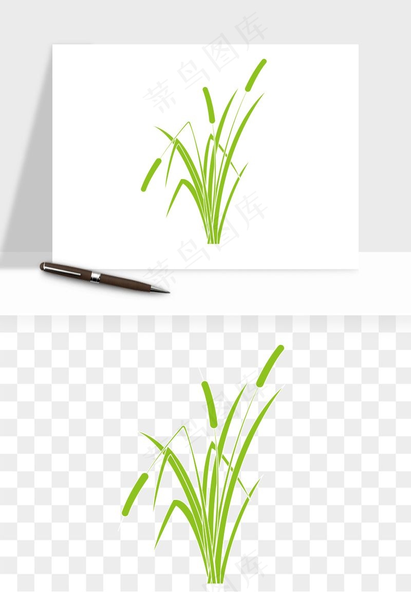 植物芦苇蒲苇香蒲png免抠