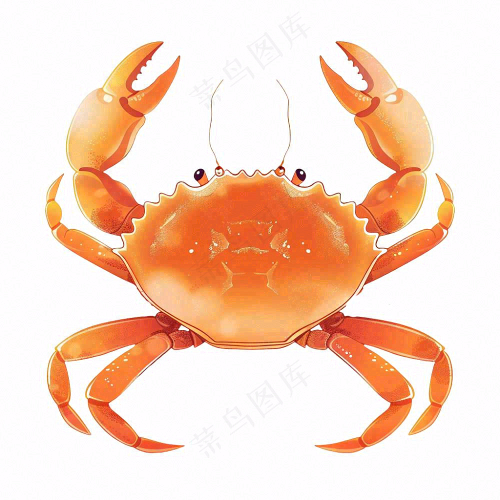 螃蟹海洋动物卡通插画免抠