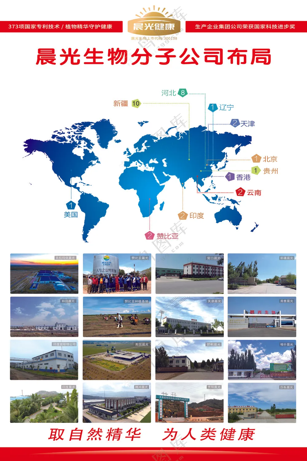 晨光生物分子公司布局1