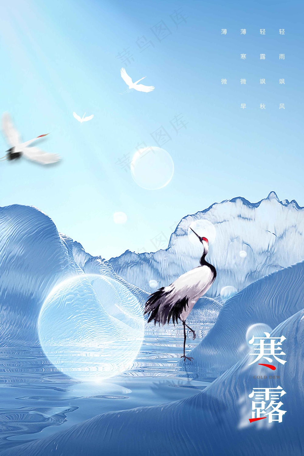 寒露节气传统活动宣传海报
