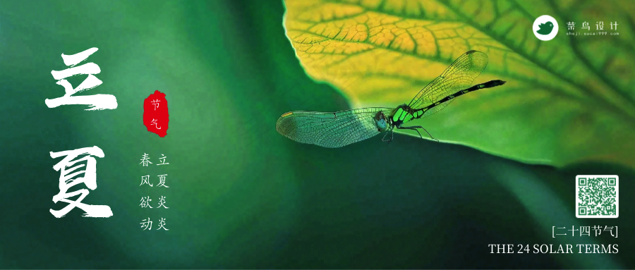 立夏公众号首图