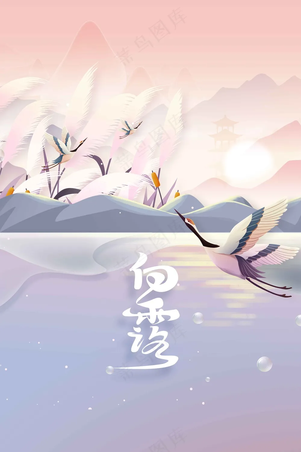 白露节气传统活动海报