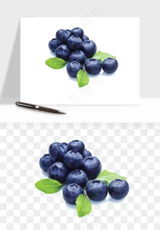蓝莓水果png免抠
