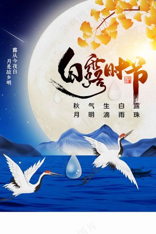 白露节气传统活动海报