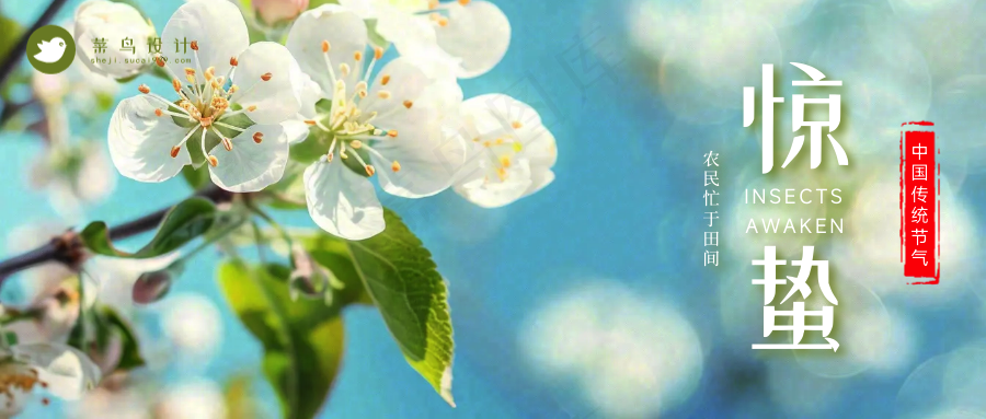 惊蛰公众号首图