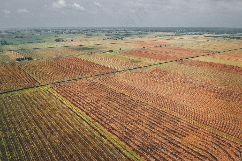 金色田野：航拍下的丰收画卷