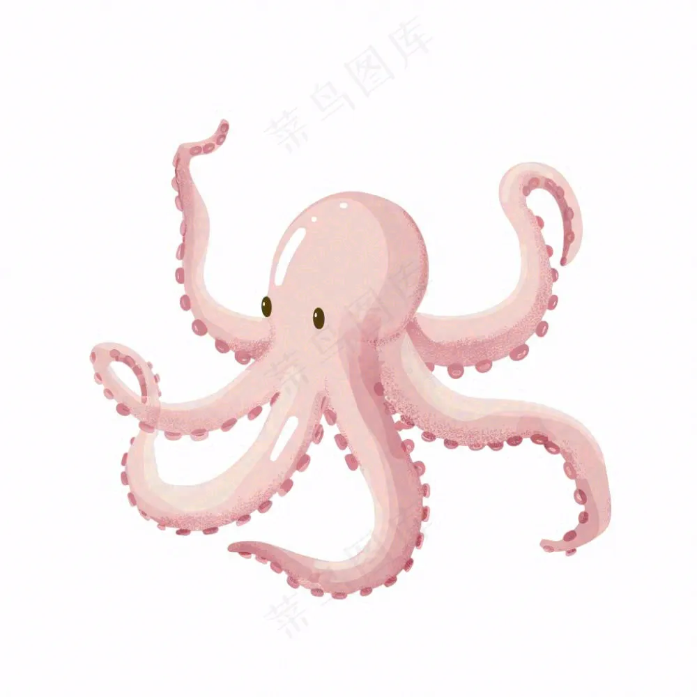 海洋动物章鱼墨鱼鱿鱼卡通插画免抠