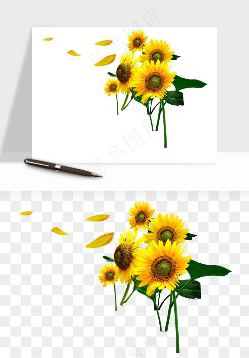 向日葵太阳花卉png免抠