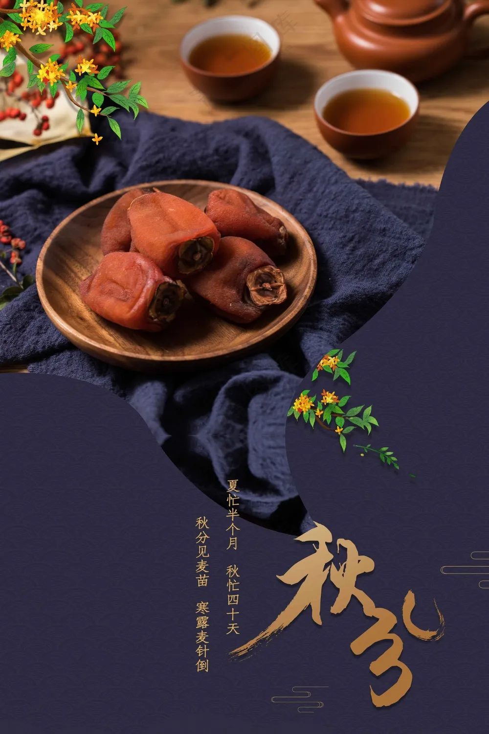 秋分节气传统海报