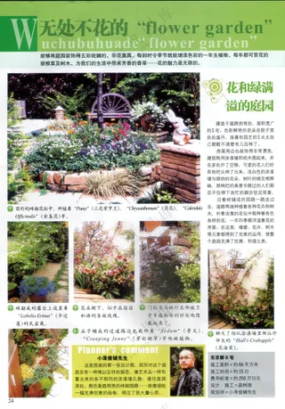 巧妙利用现有树木创造出意境