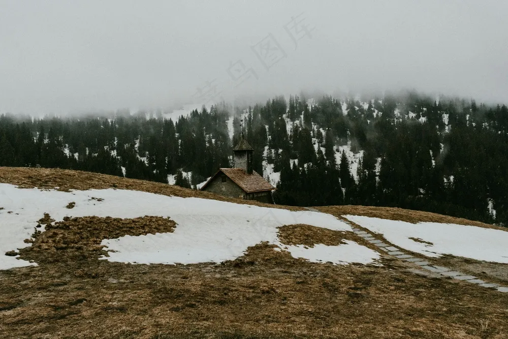 冬日余晖下的雪地风景